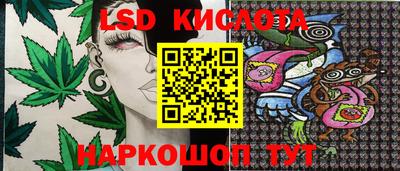 винт Будённовск